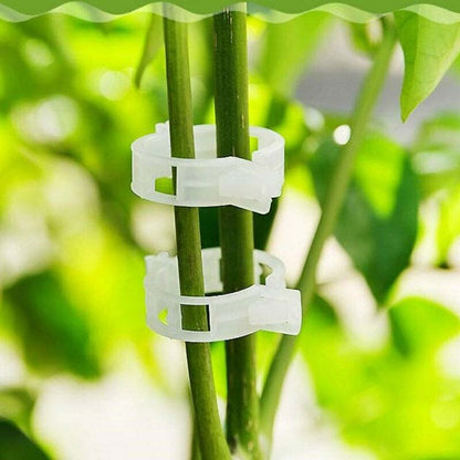 🎄Valentine's Day Deals-49% OFF🎄 - Plant Support Clips