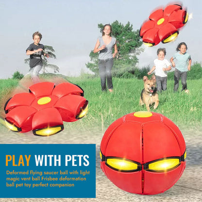 🐾Pet Toy Flying Saucer Ball