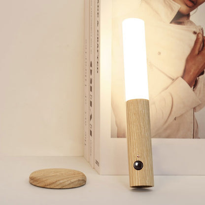 Intelligent Human Body Sensor Night Light