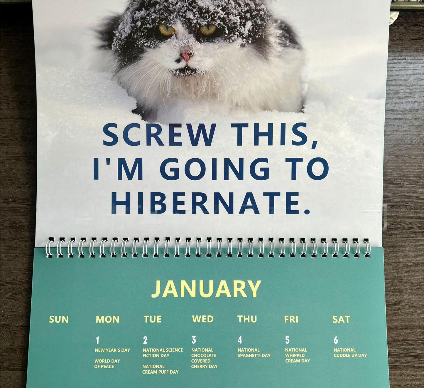 😾2024 Pissed-Off Cats Calendar