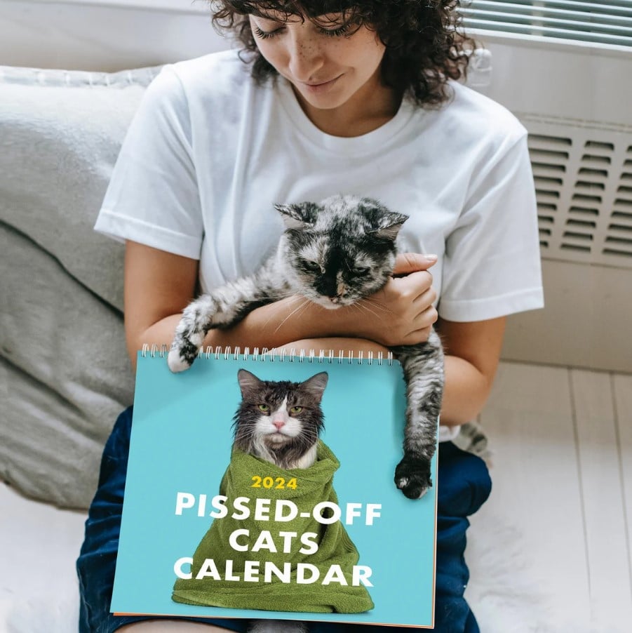 😾2024 Pissed-Off Cats Calendar